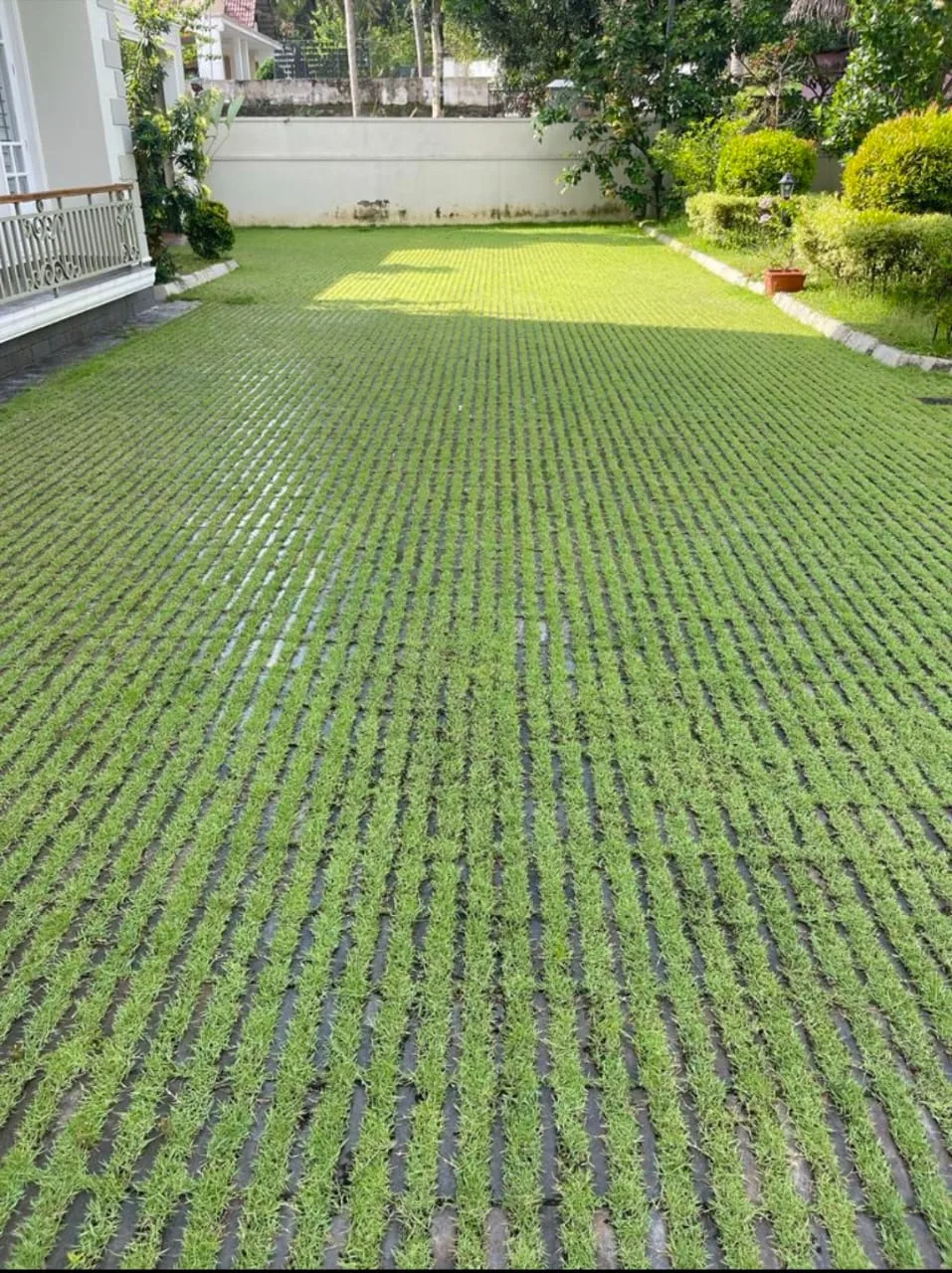 Interlock Paving - Grass Paver